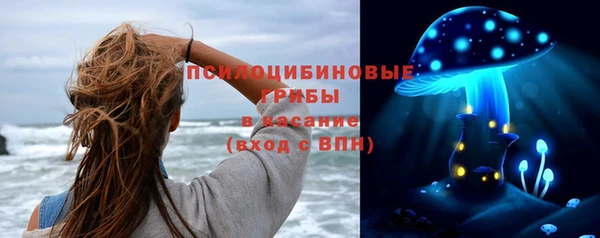 ешки Алексеевка