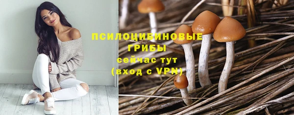 ешки Алексеевка